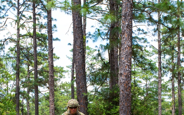 705th OD CO Command Training Exercise at Fort Polk