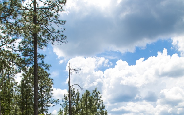 705th OD CO Command Training Exercise at Fort Polk