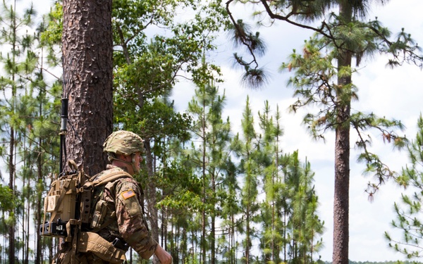 705th OD CO Command Training Exercise at Fort Polk