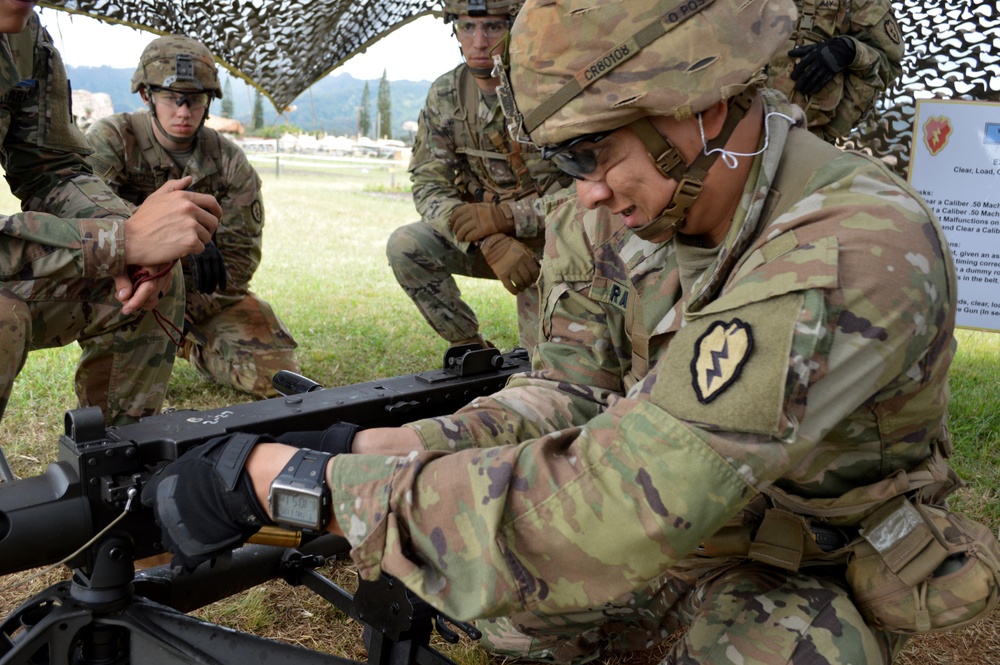 ‘Tropic Lightning’ Soldiers train up on weapons for EIB