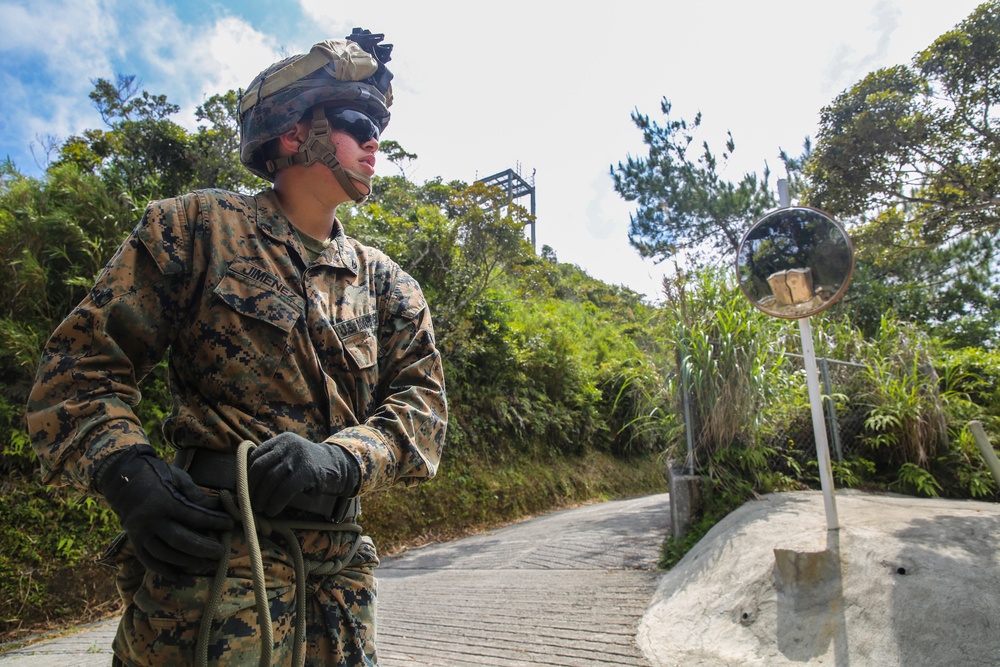 Welcome to the Jungle- CLB-31 Marines, Sailors complete JWTC