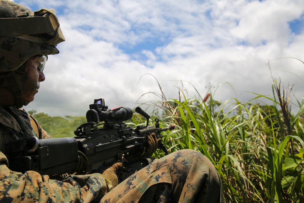 Welcome to the Jungle- CLB-31 Marines, Sailors complete JWTC