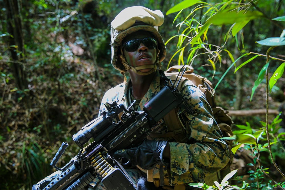 Welcome to the Jungle- CLB-31 Marines, Sailors complete JWTC