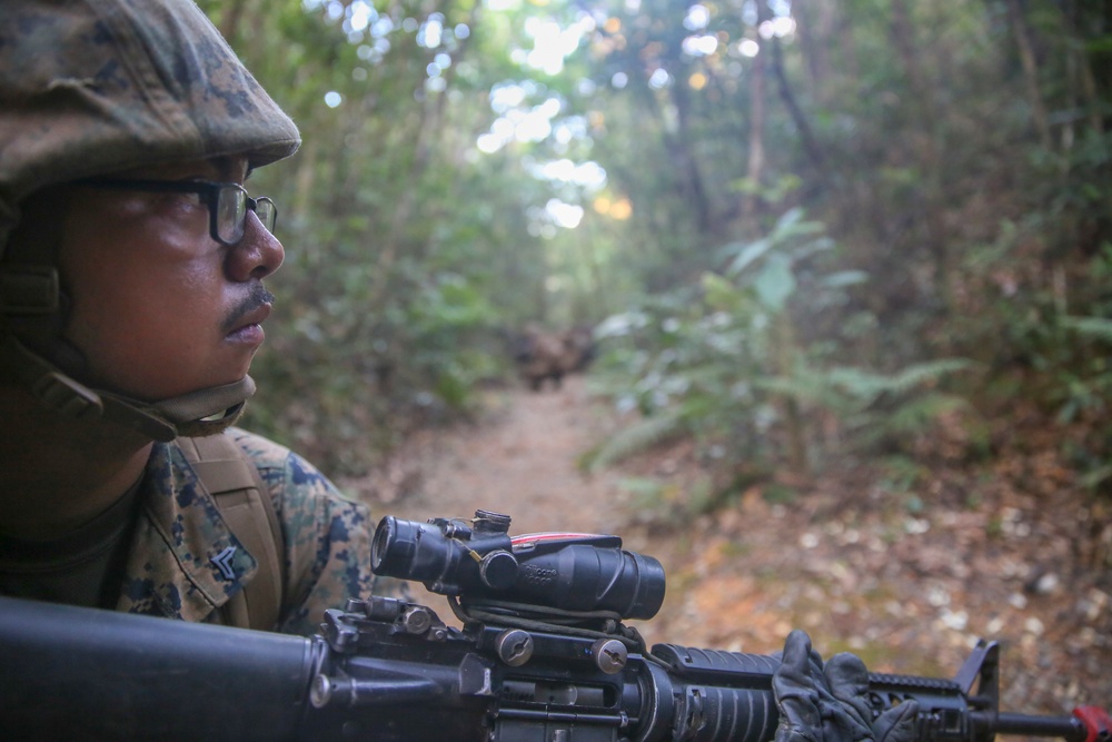 Welcome to the Jungle- CLB-31 Marines, Sailors complete JWTC