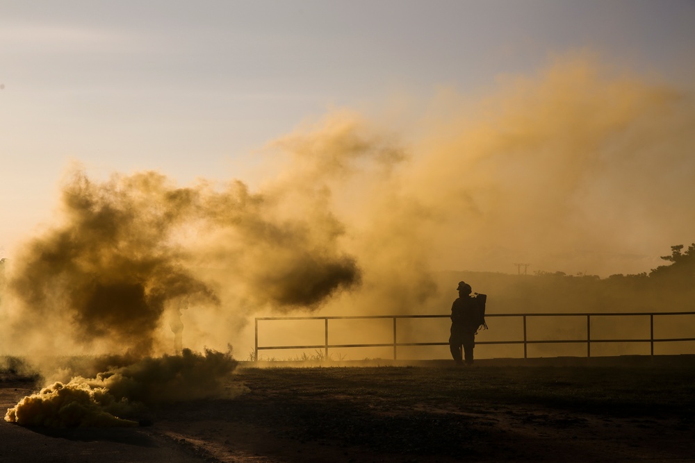 Welcome to the Jungle- CLB-31 Marines, Sailors complete JWTC