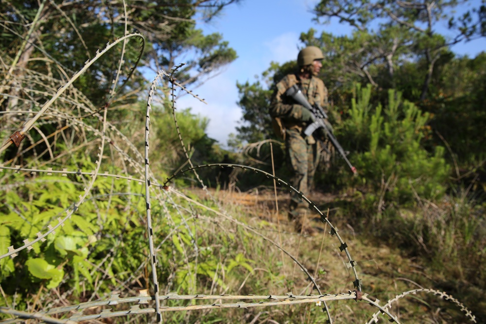 Welcome to the Jungle- CLB-31 Marines, Sailors complete JWTC