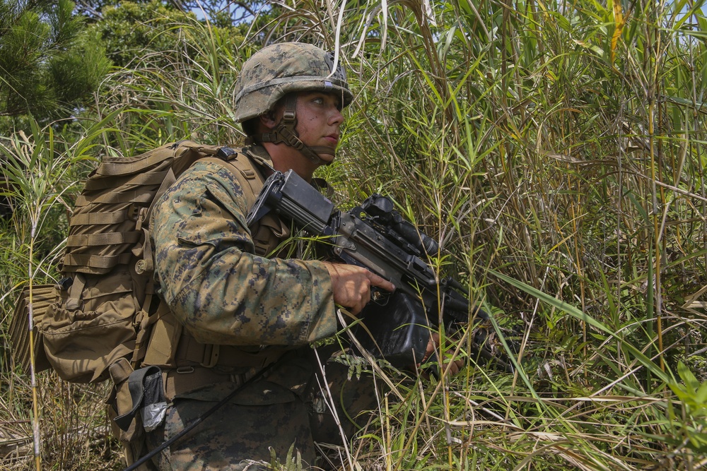 Welcome to the Jungle- CLB-31 Marines, Sailors complete JWTC