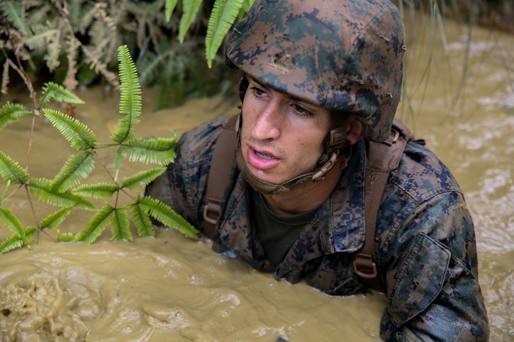 Welcome to the Jungle- CLB-31 Marines, Sailors complete JWTC