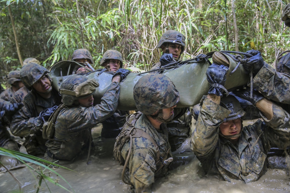 Welcome to the Jungle- CLB-31 Marines, Sailors complete JWTC