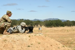 Army Reserve Sgt. Audie Murphy Award Boards