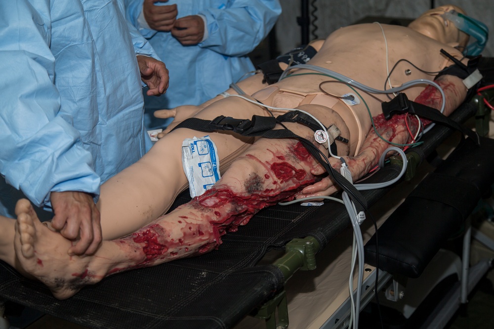 2nd Medical Battalion Field Triage