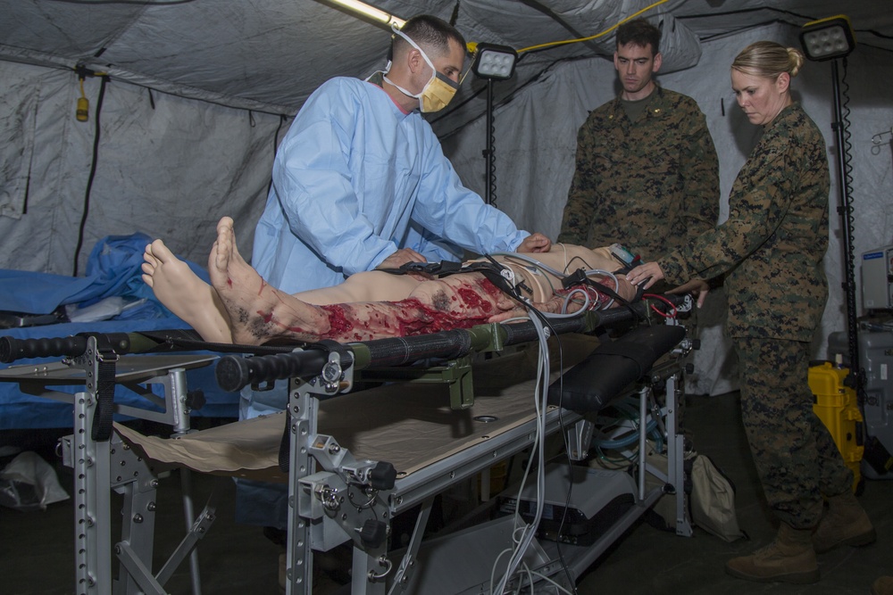 2nd Medical Battalion Field Triage