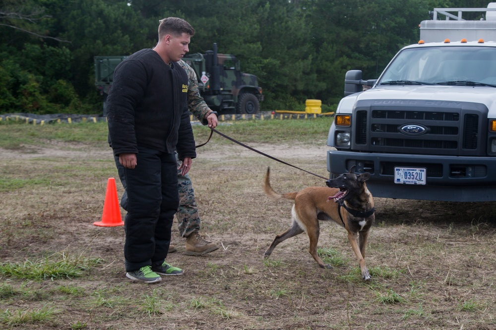 2nd LE Bn Military Working Dog Demonstration