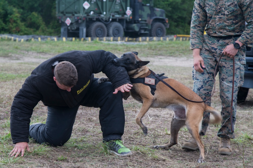 2nd LE Bn Military Working Dog Demonstration