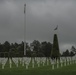 American flags standing tall