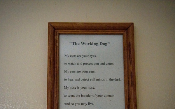 You Don't Stop Learning Until You Hang Up The Leash – A Look Into K-9