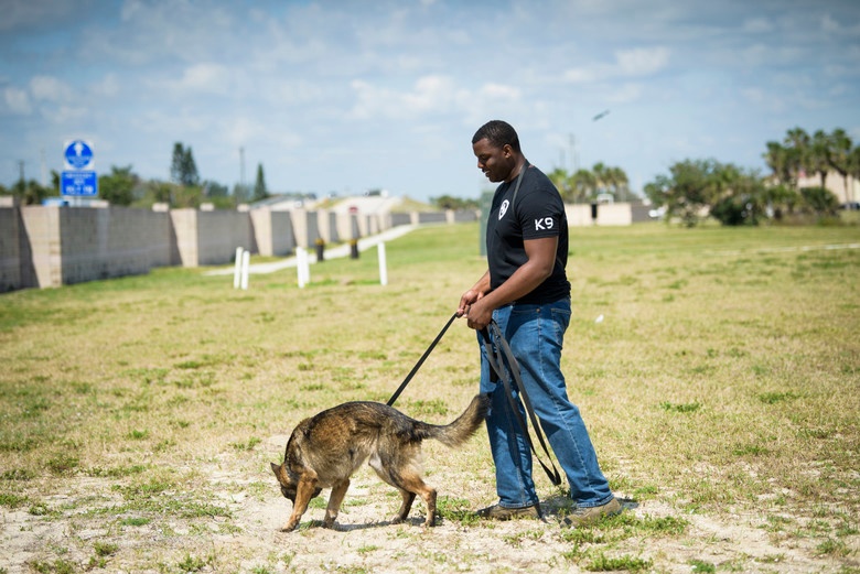 You Don't Stop Learning Until You Hang Up The Leash – A Look Into K-9