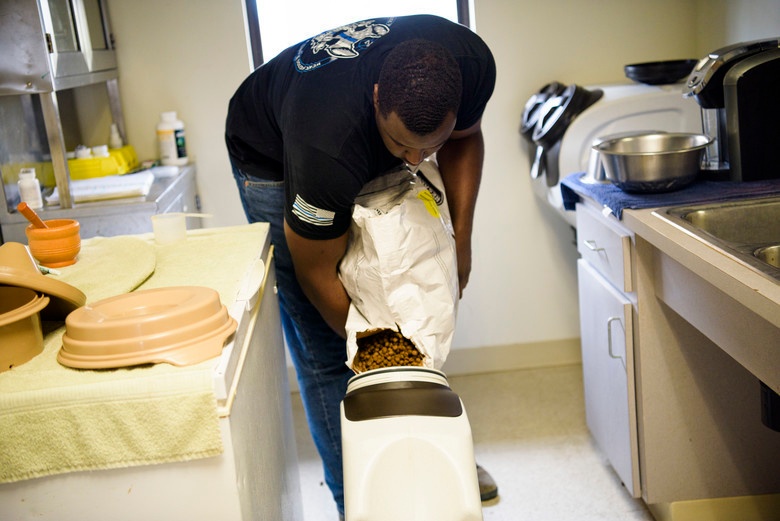 You Don't Stop Learning Until You Hang Up The Leash – A Look Into K-9