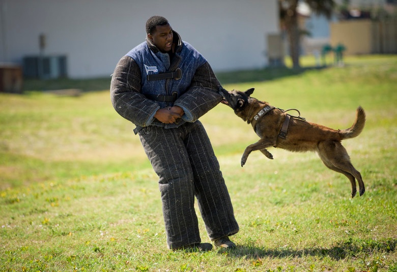 You Don't Stop Learning Until You Hang Up The Leash – A Look Into K-9