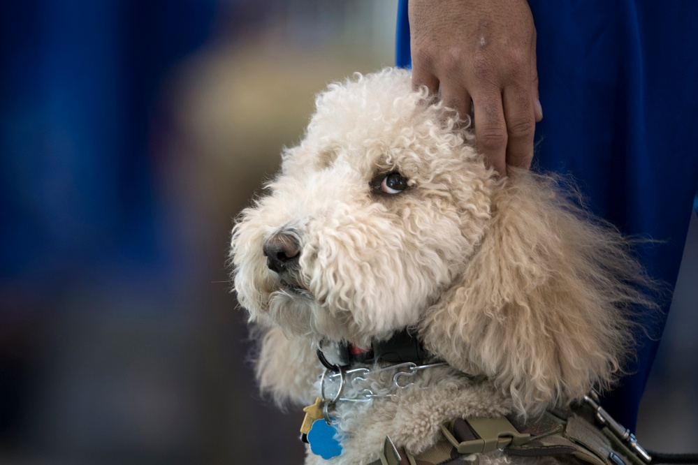 2018 DoD Warrior Games
