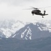 Airmen, Soldiers and Guardsmen conduct airborne training at JBER