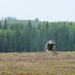 Airmen, Soldiers and Guardsmen conduct airborne training at JBER