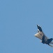 F-22 Raptor Demo brings show to Jones Beach