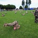 PLF Practice