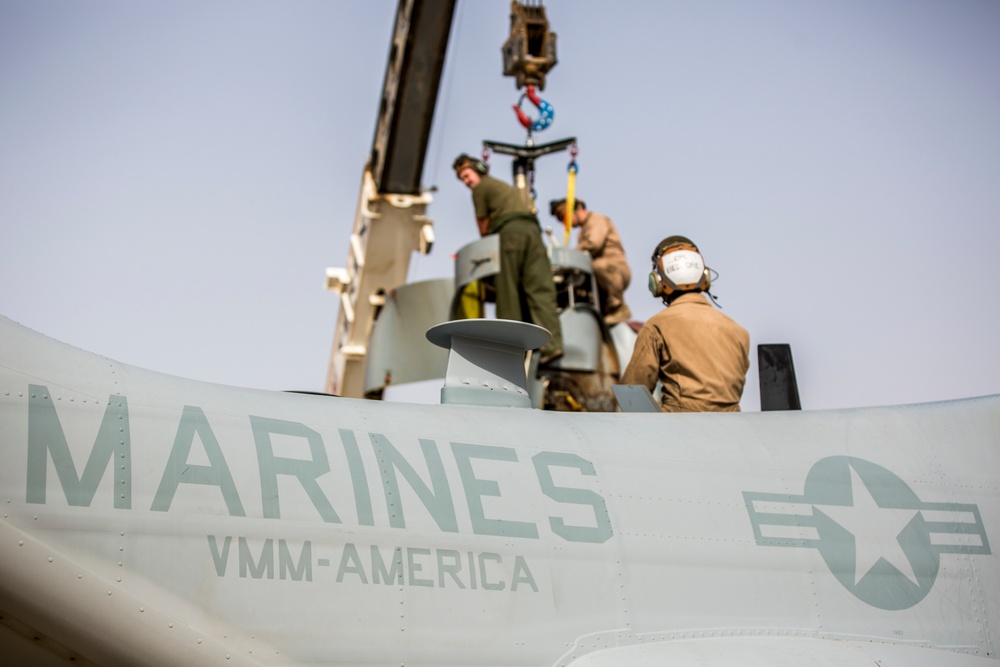 VMM-164 Mechanics Sustain Operational Readiness