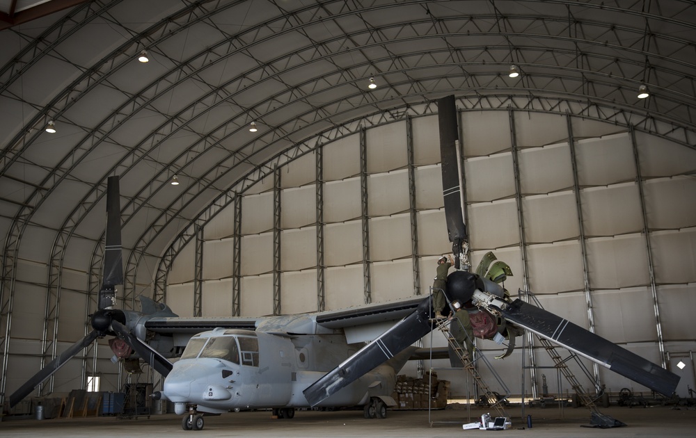 VMM-164 Mechanics Sustain Operational Readiness