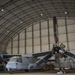 VMM-164 Mechanics Sustain Operational Readiness