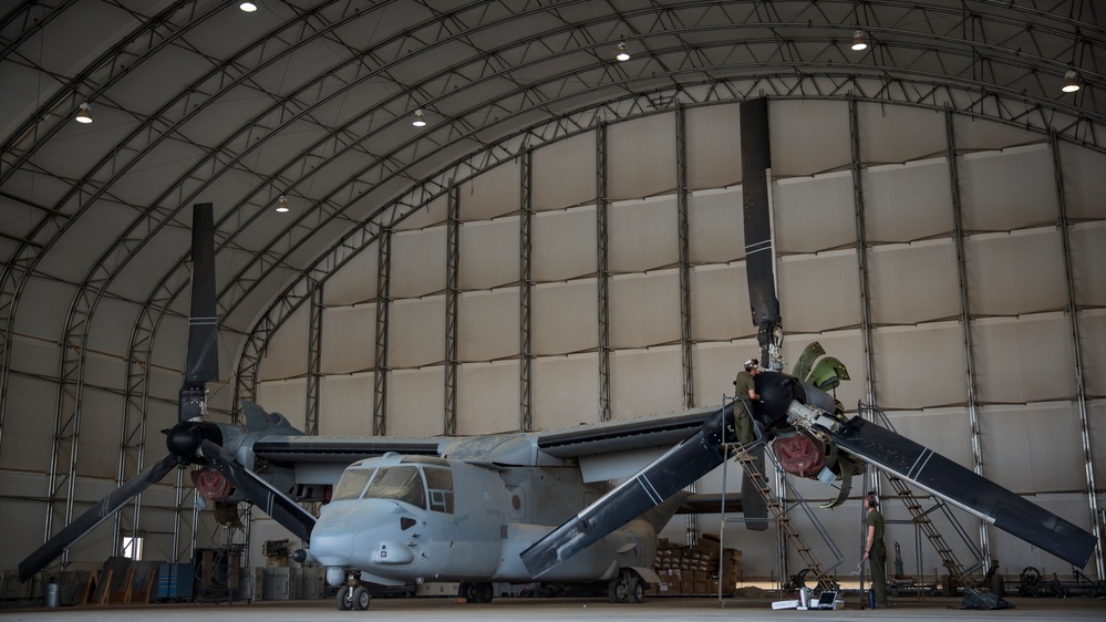 VMM-164 Mechanics Sustain Operational Readiness