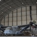 VMM-164 Mechanics Sustain Operational Readiness