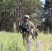 Soldiers from Palehorse Troop conducting a patrol