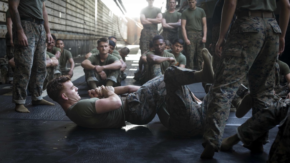 Combat Logistics Battalion 13 and Battalion Landing Team 3/1 practice grappling techniques