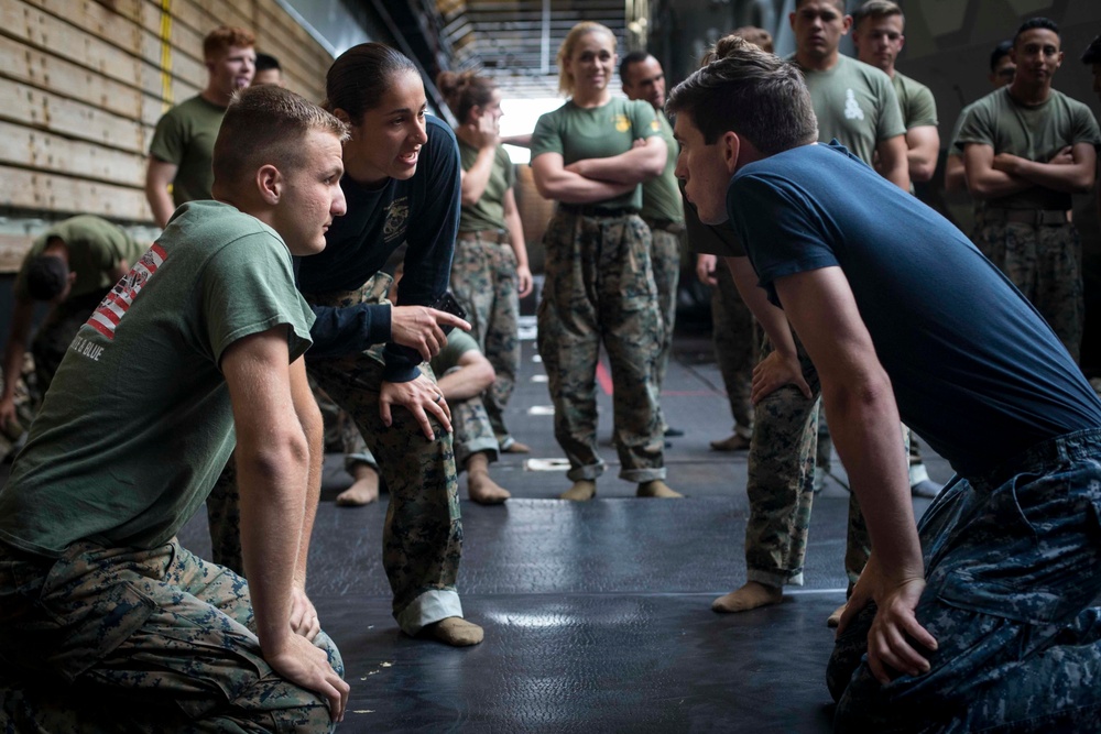 Combat Logistics Battalion 13 and Battalion Landing Team 3/1 practice grappling techniques