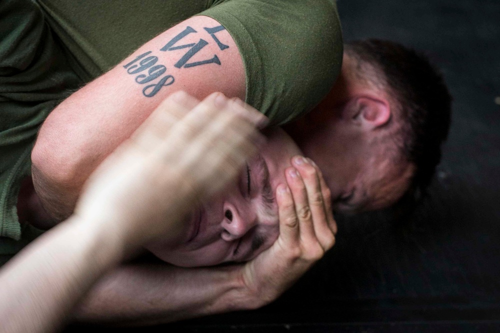 Combat Logistics Battalion 13 and Battalion Landing Team 3/1 practice grappling techniques