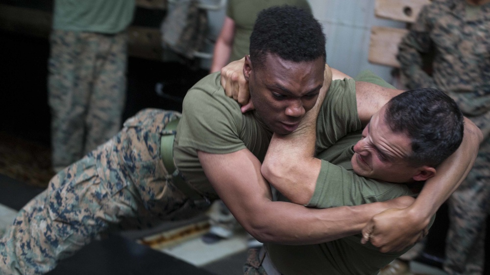 Combat Logistics Battalion 13 and Battalion Landing Team 3/1 practice grappling techniques