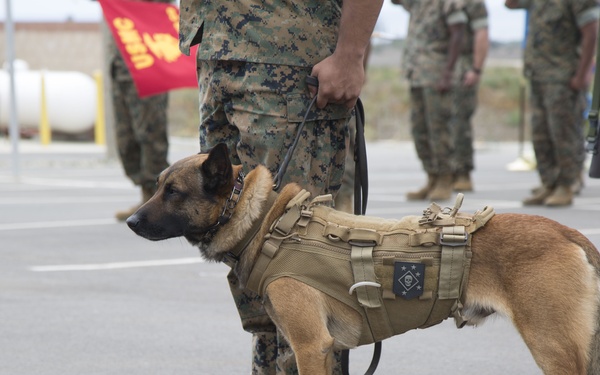 Scruffy Special Operator Retires with Honors