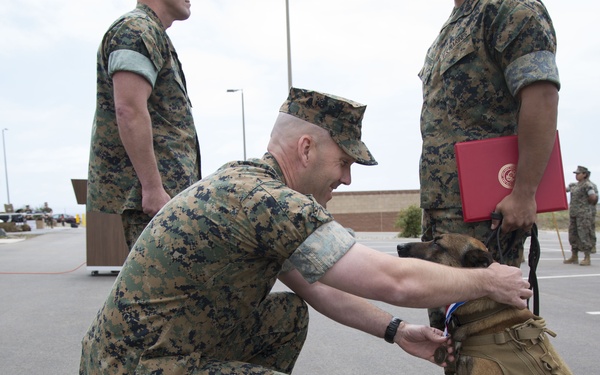 Scruffy Special Operator Retires with Honors