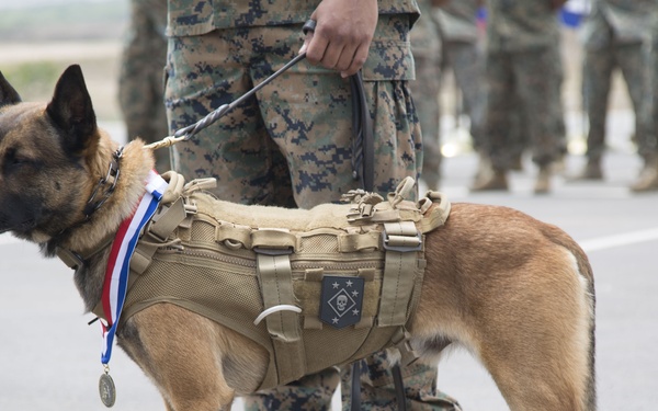 Scruffy Special Operator Retires with Honors