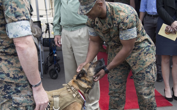 Scruffy Special Operator Retires with Honors