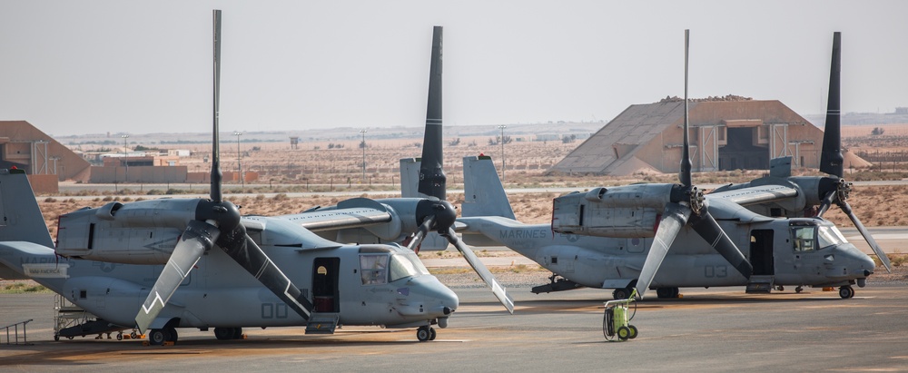 VMM-164 Mechanics Sustain Operational Readiness