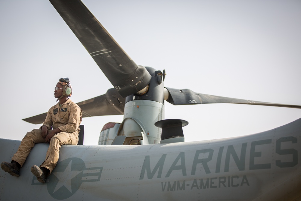 VMM-164 Mechanics Sustain Operational Readiness