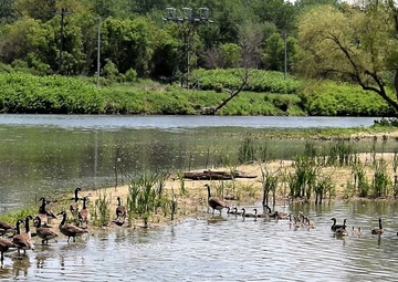 Seneca Bluffs ecosystem restoration project site visit