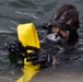 Coast Guard divers participate in Joint Exercise Black Drum