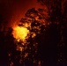 Lava fissure lights up Pahoa skies