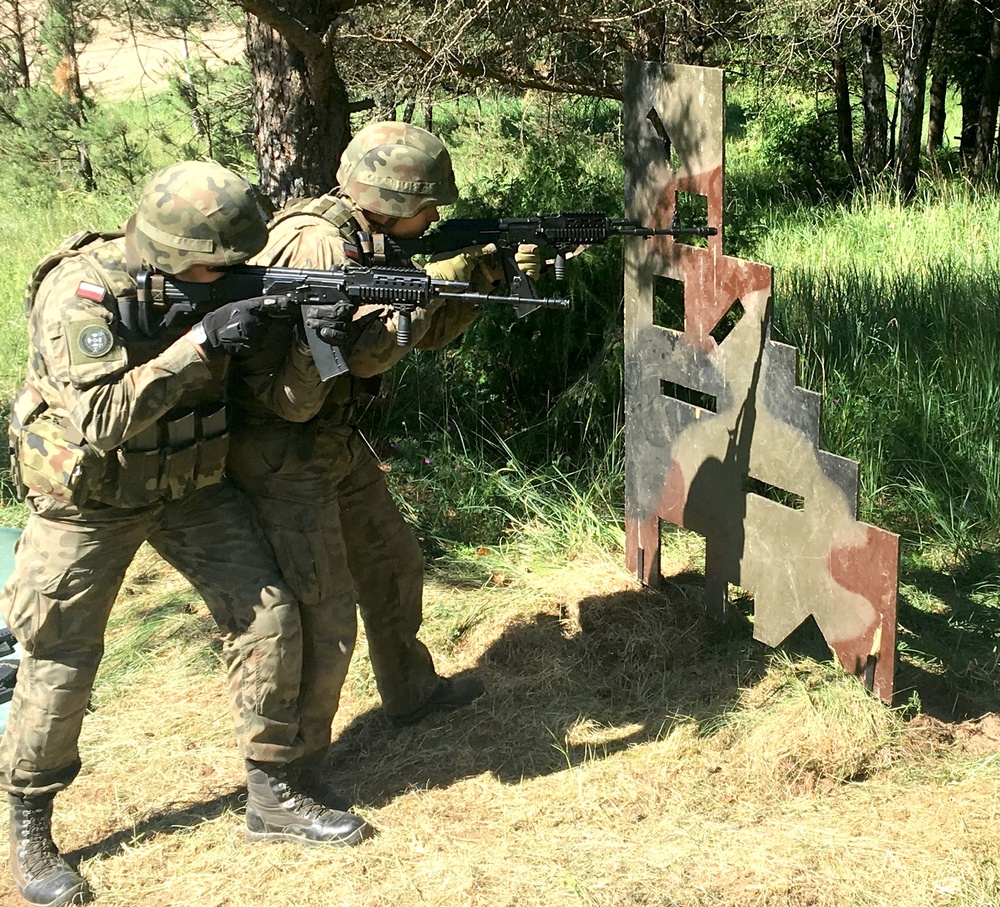 Polish soldiers demonstrate weapon handling for U.S. Army soldiers