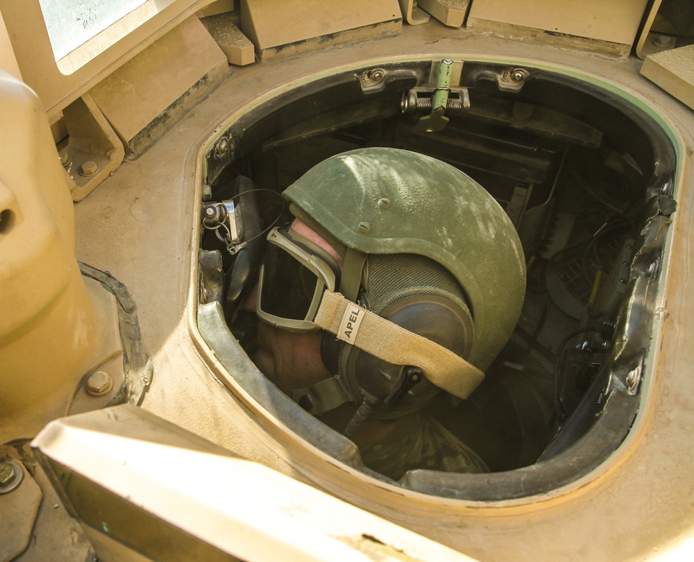 Cavalry leads the way!