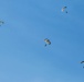 Italian, Portuguese Soldiers Conduct Halo Jump During Saber Strike 18